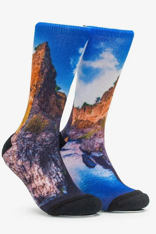 Bear Hole Vision Socks