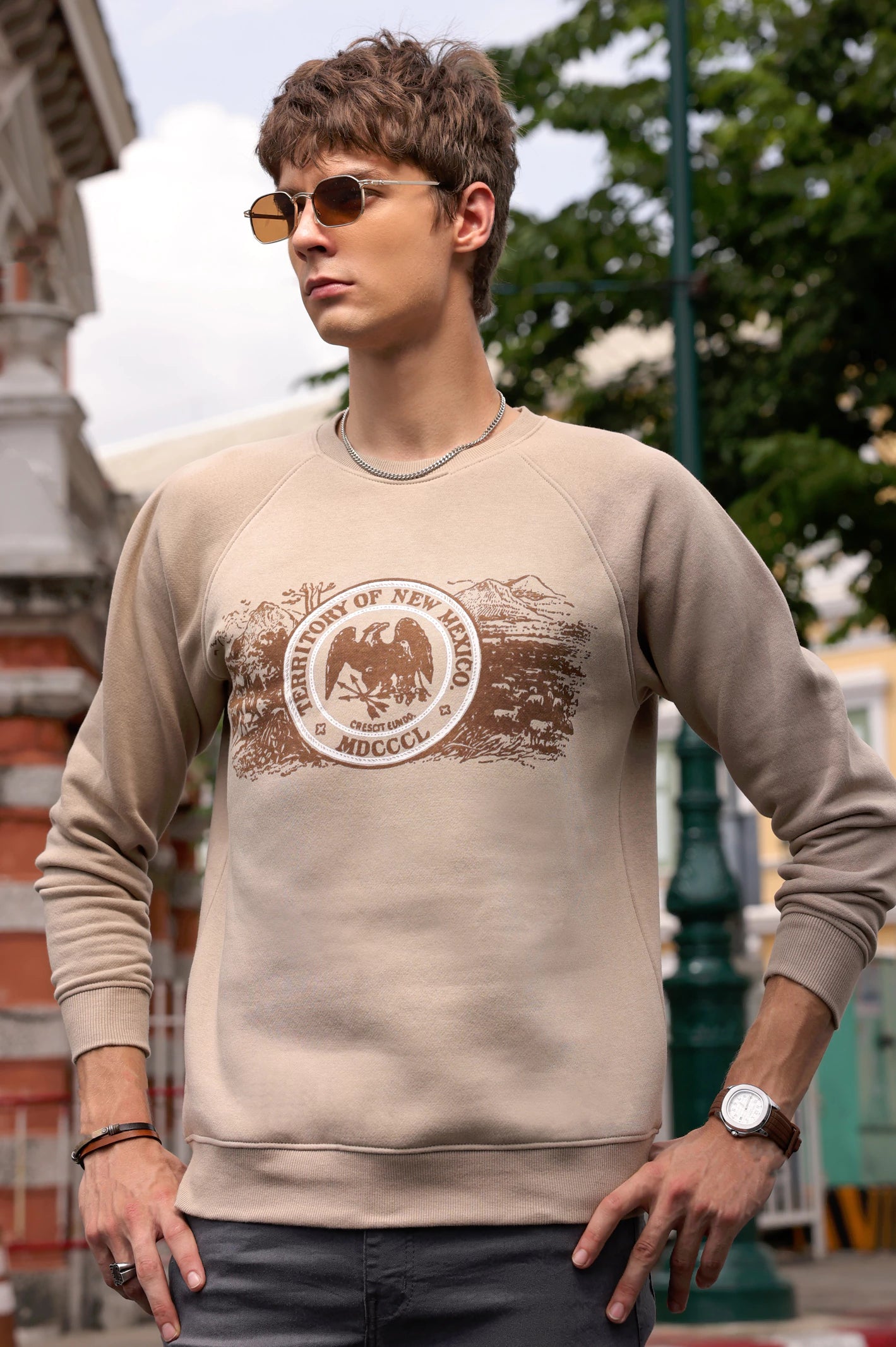 Modern Men's SportswearSand Graphic Printed Sweatshirt